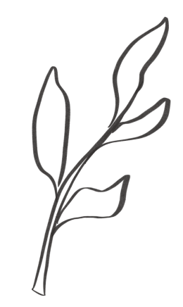 Illustration af en plante